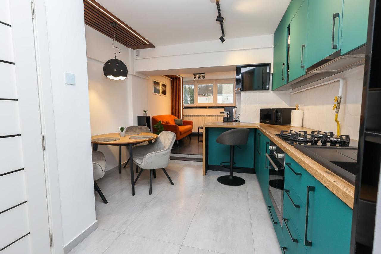 Ioana Residence Bucovina Câmpulung Moldovenesc Extérieur photo